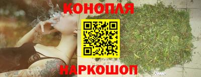 прущие грибы Малоярославец